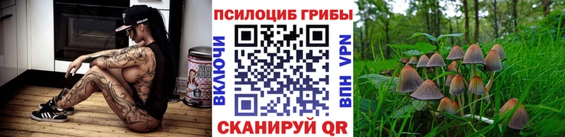 купить наркотик  Полярный  Галлюциногенные грибы MAGIC MUSHROOMS 